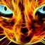 Image result for Cute Fire Cat