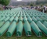 Image result for Srebrenica Cvijet