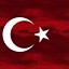 Image result for Turkey Republic Flag