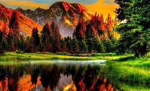 Image result for Cool Backgrounds Wallpapers