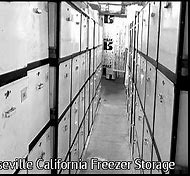 Image result for California Freezer