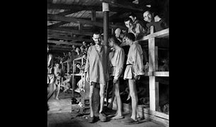 Image result for American Liberated Concentration Camps
