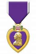 Image result for American Medal of Honor
