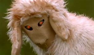 Image result for Mad Sheep