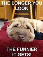 Image result for Funny Things Make People Laugh