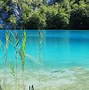 Image result for Croatia Summer Vacation