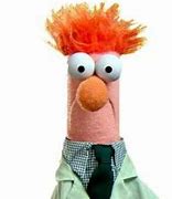 Image result for Angry Muppet