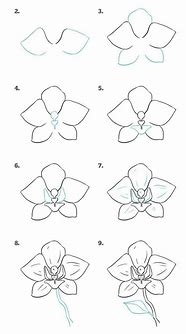 Image result for Easy Drawing Lessons