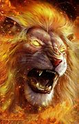 Image result for Red and Blue Fire Lion