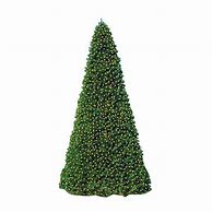 Image result for 20 Foot Christmas Tree