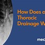 Image result for Thoracic Drainage 2D Drawing
