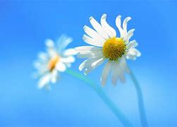 Image result for Windows 8 Background Pictures