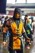 Image result for Mortal Kombat X Costumes