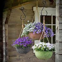 Image result for Hanging Flower Baskets