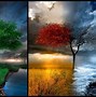 Image result for Four Seasons Desktop