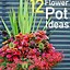 Image result for Outdoor Flower Pot Arrangement Ideas