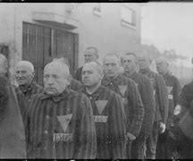 Image result for Life in the Concentration Camps