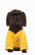 Image result for Star Trek Dog Costume
