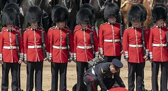 Image result for Messing with Buckingham Palace Guards