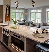 Image result for High-End Luxury Kitchens with Appliances