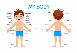Image result for Cute Cartoon Body Learning