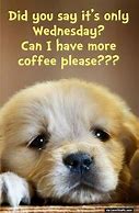 Image result for Hump Day Wednesday Humor Coffee
