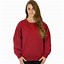 Image result for Heavyweight Crew Neck Sweatshirts for Women