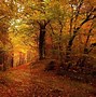 Image result for HD Autumn Wallpapers for Desktop