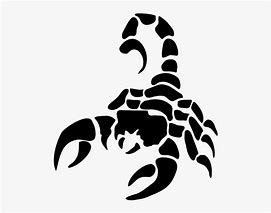 Image result for Scorpion Abstract Logo