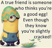 Image result for My Funny Friend Minion Quotes