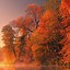 Image result for iPhone X Wallpaper Autumn