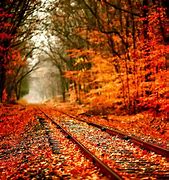 Image result for Autumn Wallpaper for iPad