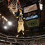 Image result for Indiana Pacers Boomer Happy Birthday