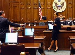 Image result for A Laywer in Court
