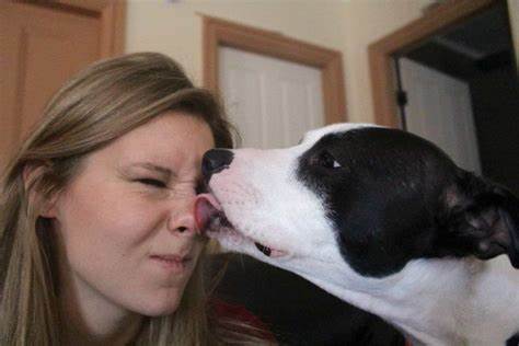 Why Does Your Dog Nibble on You? 