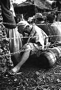 Image result for Canadian War Crimes WW2