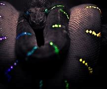 Image result for Cool Snake Backgrounds