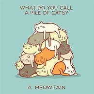Image result for Really Funny Cat Puns