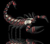 Image result for Cool Scorpion Wallpapers