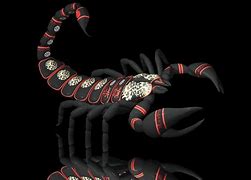 Image result for Scorpion Dragon Wallpapers Full HD