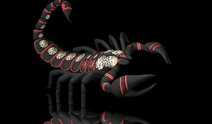 Image result for Wise Man and Scorpion Screensavers