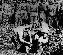Image result for Nanking Bodies