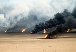 Image result for Gulf War Illness