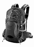 Image result for Carry On Backpack