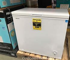 Image result for Costco Ice Chest Freezers