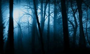 Image result for dark eerie forest