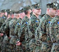Image result for The Bosnian Serb Forces Have a Symbol
