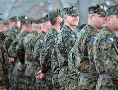 Image result for Bosnian Army