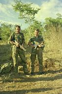 Image result for Rhodesian Bush War Books