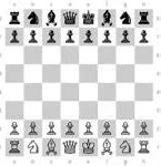 Image result for Play Chess Against Computer with Cool Looking Pieces